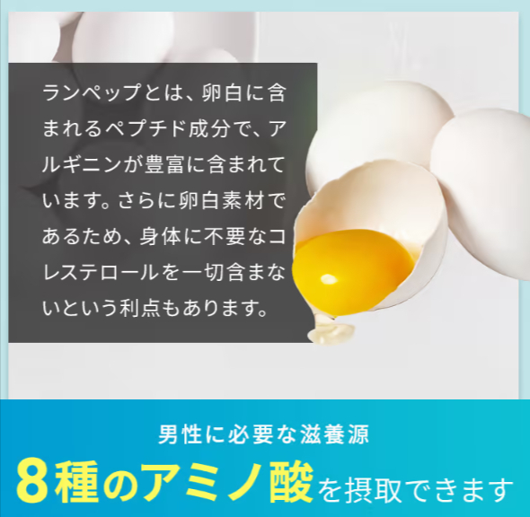 男性に必要な豊富なアミノ酸たっぷり「ランペップ」