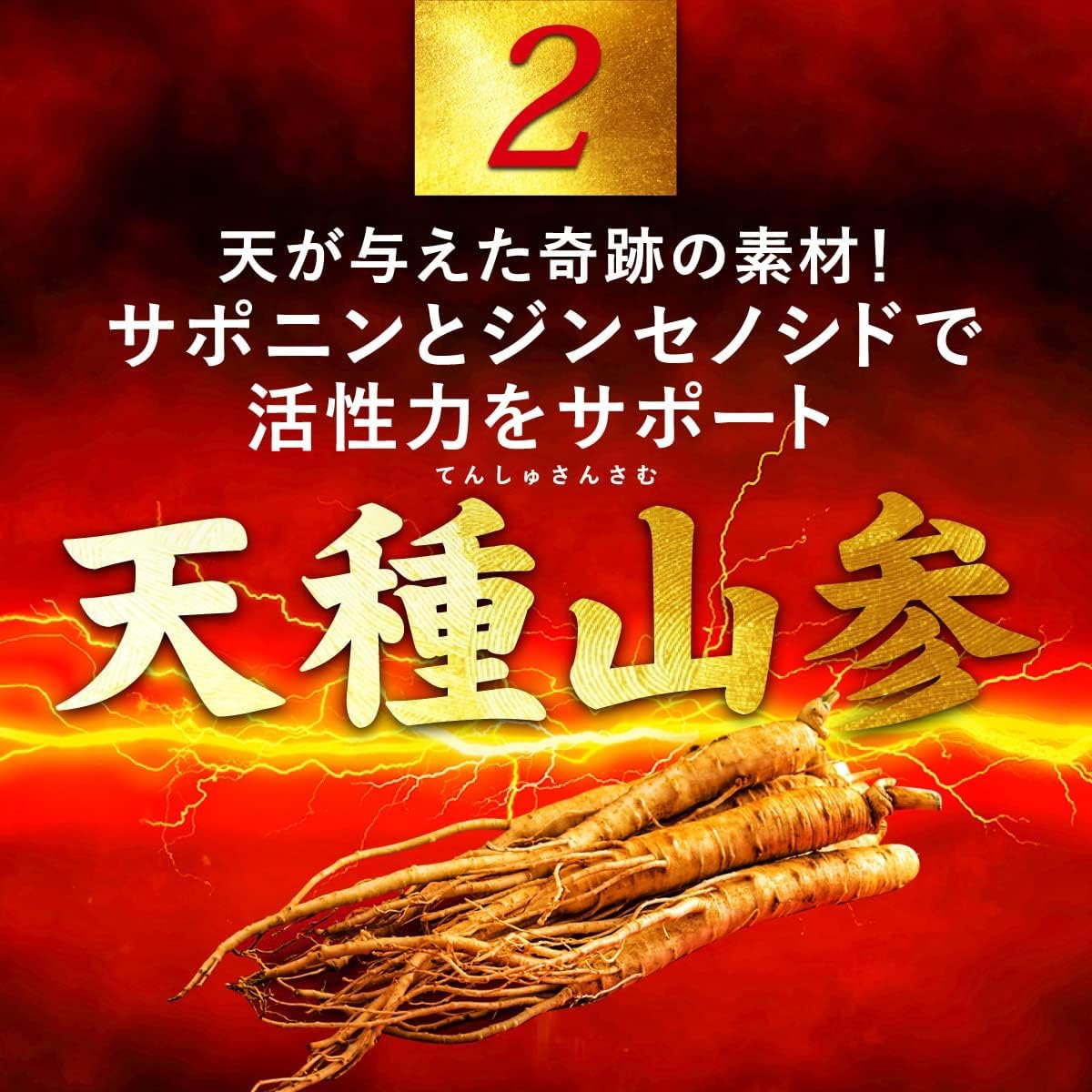 高麗人参の数百倍効果の幻の人参「天種山参」配合！