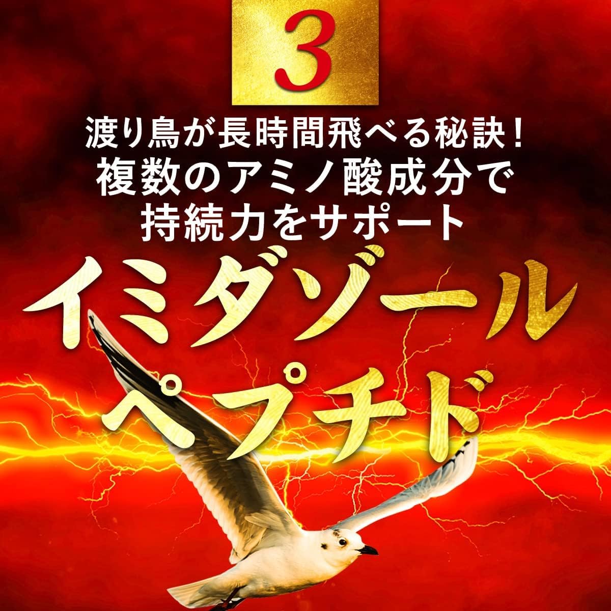 渡り鳥の長距離飛行を可能にする「イミダゾールペプチド」