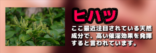 高い催淫効果を発揮すると言われる「ヒハツ」