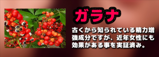 女性にも効果があるのは実証済「ガラナ」