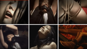 映画『花と蛇3』の濡れ場やヌード・感想！一体どこで見れるの？