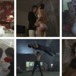 映画『特命係長 只野仁 最後の劇場版』の濡れ場やヌード・感想！一体どこで見れるの？