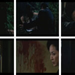 映画『極道の妻たち 情炎』の濡れ場やヌード・感想！一体どこで見れるの？