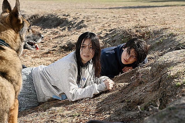 映画『少年と犬』の濡れ場やヌード・感想！一体どこで見れるの？ – エロ映画｜動ナビブログネオ