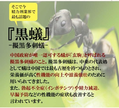 精力剤業界で話題の黒蟻パワーを1粒に1000匹配合！