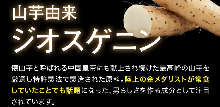 加齢が原因の雄力不足に「山芋由来ジオスゲニン」