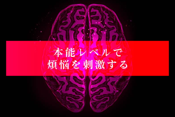 女性の本能を刺激する