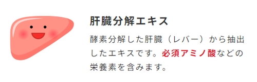 肝臓から抽出したエキス