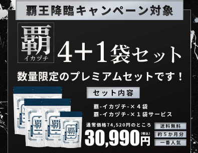 覇-イカヅチ-を初回割引で購入する方法